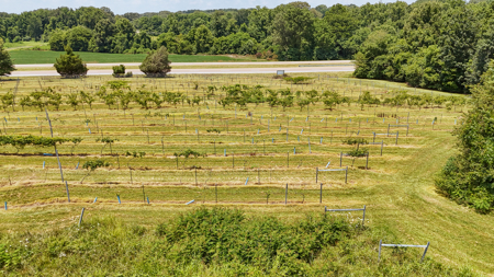 Land for Sale in West TN with Farming & Commercial Opportunities - image 34