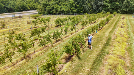 Land for Sale in West TN with Farming & Commercial Opportunities - image 41