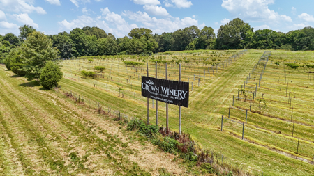 Land for Sale in West TN with Farming & Commercial Opportunities - image 29