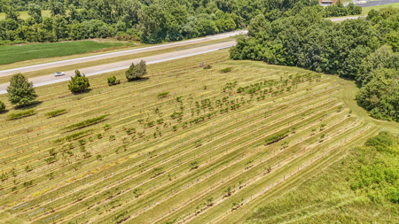 Land for Sale in West TN with Farming & Commercial Opportunities - image 20