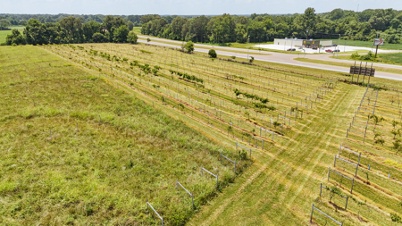 Land for Sale in West TN with Farming & Commercial Opportunities - image 24