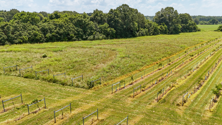 Land for Sale in West TN with Farming & Commercial Opportunities - image 36