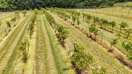 Land for Sale in West TN with Farming & Commercial Opportunities - image 40