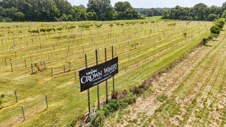 Land for Sale in West TN with Farming & Commercial Opportunities - image 27