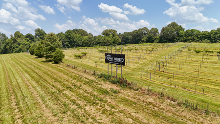 Land for Sale in West TN with Farming & Commercial Opportunities - image 31