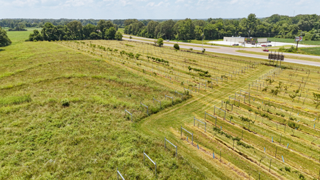 Land for Sale in West TN with Farming & Commercial Opportunities - image 23