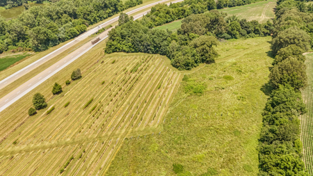 Land for Sale in West TN with Farming & Commercial Opportunities - image 12