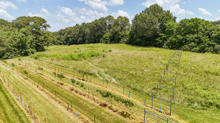 Land for Sale in West TN with Farming & Commercial Opportunities - image 33