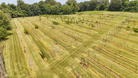 Land for Sale in West TN with Farming & Commercial Opportunities - image 32