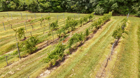 Land for Sale in West TN with Farming & Commercial Opportunities - image 37