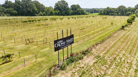 Land for Sale in West TN with Farming & Commercial Opportunities - image 28