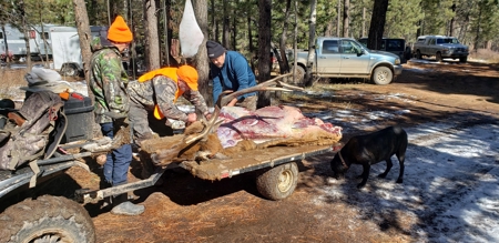 Colorado outfitting business for sale near Montrose, CO--GMU 62 - image 34
