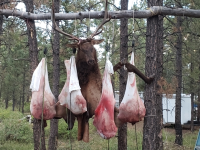 Colorado outfitting business for sale near Montrose, CO--GMU 62 - image 27