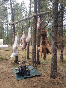 Colorado outfitting business for sale near Montrose, CO--GMU 62 - image 31