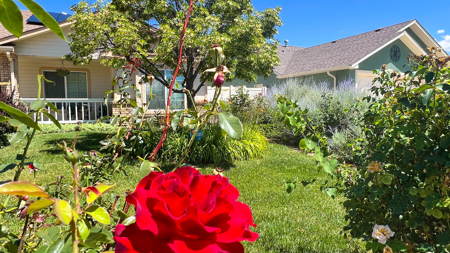 4 Bedroom Home with Double Suites in Fruita Colorado For Sale - image 36
