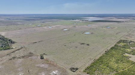 Beef Cattle Farm For Sale In Florida! - image 1