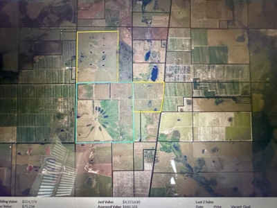 Beef Cattle Farm For Sale In Florida! - image 26