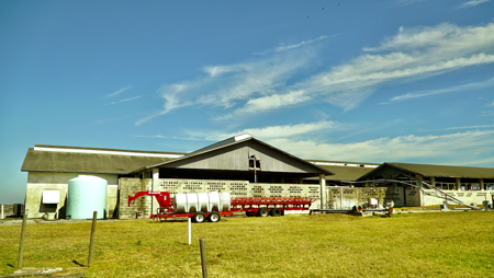 Beef Cattle Farm For Sale In Florida! - image 18