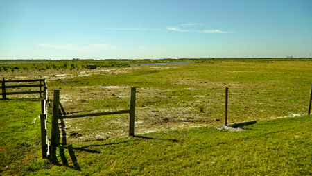 Beef Cattle Farm For Sale In Florida! - image 10