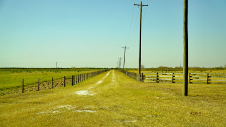 Beef Cattle Farm For Sale In Florida! - image 13
