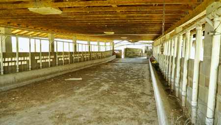 Beef Cattle Farm For Sale In Florida! - image 49