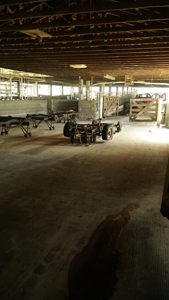 Beef Cattle Farm For Sale In Florida! - image 38
