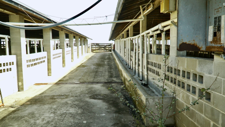 Beef Cattle Farm For Sale In Florida! - image 44