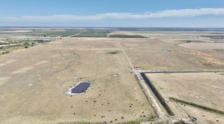 Beef Cattle Farm For Sale In Florida! - image 21