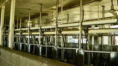 Beef Cattle Farm For Sale In Florida! - image 37