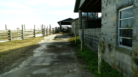 Beef Cattle Farm For Sale In Florida! - image 27
