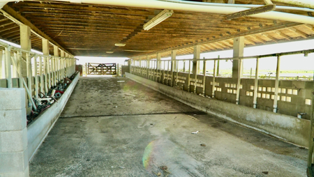 Beef Cattle Farm For Sale In Florida! - image 43