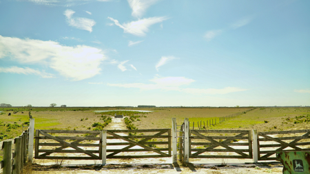 Beef Cattle Farm For Sale In Florida! - image 5