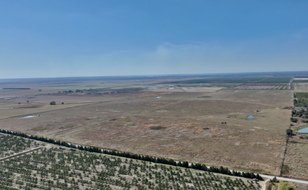 Beef Cattle Farm For Sale In Florida! - image 2