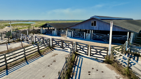 Beef Cattle Farm For Sale In Florida! - image 7