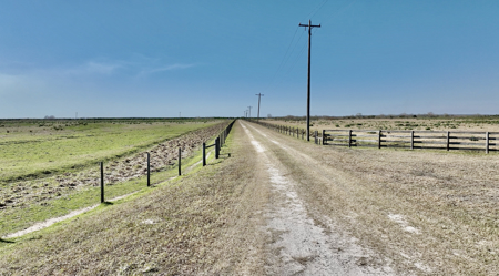 Beef Cattle Farm For Sale In Florida! - image 20