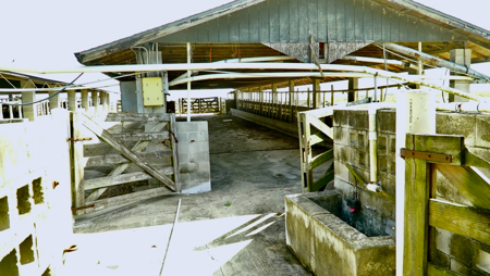 Beef Cattle Farm For Sale In Florida! - image 42