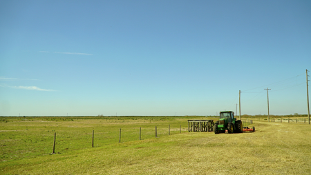 Beef Cattle Farm For Sale In Florida! - image 9