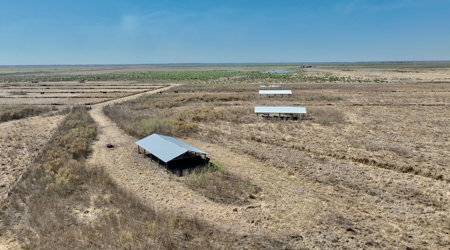Beef Cattle Farm For Sale In Florida! - image 3