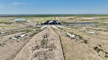 Beef Cattle Farm For Sale In Florida! - image 17