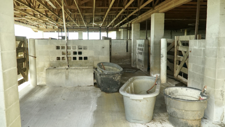 Beef Cattle Farm For Sale In Florida! - image 41