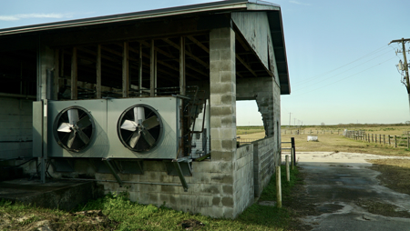 Beef Cattle Farm For Sale In Florida! - image 28