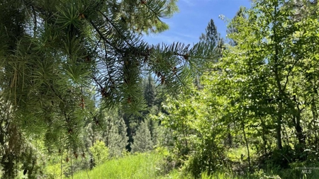 Prime Buildable Timberland for Sale in White Bird, ID - image 13