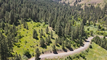 Prime Buildable Timberland for Sale in White Bird, ID - image 4