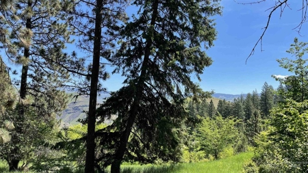 Prime Buildable Timberland for Sale in White Bird, ID - image 9