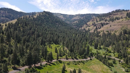 Prime Buildable Timberland for Sale in White Bird, ID - image 3