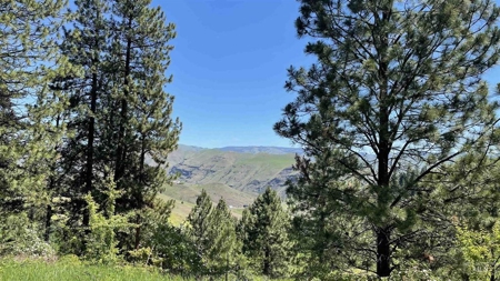 Prime Buildable Timberland for Sale in White Bird, ID - image 7