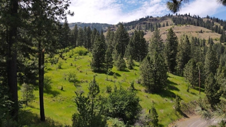 Prime Buildable Timberland for Sale in White Bird, ID - image 14
