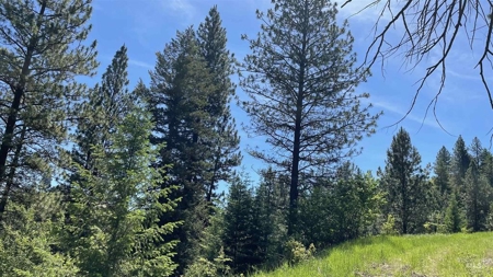 Prime Buildable Timberland for Sale in White Bird, ID - image 12