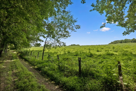 Middle TN Waterfront Legacy Estate - Private Beaches & Live Creek - image 39