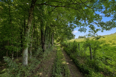 Middle TN Waterfront Legacy Estate - Private Beaches & Live Creek - image 38
